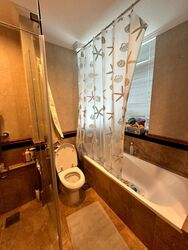 Melrose Park (D10), Condominium #595129981